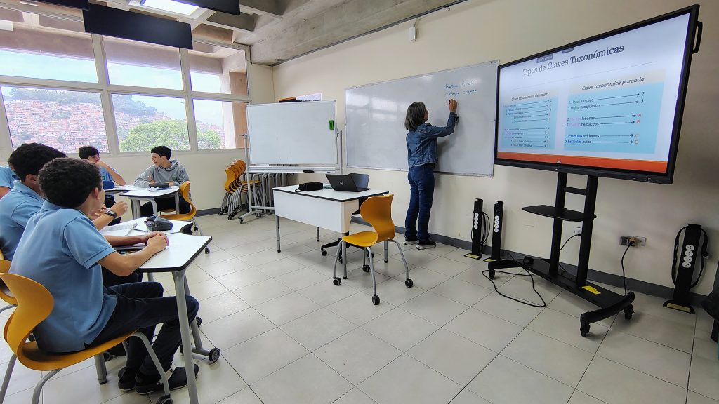 Bachillerato Alulas efectivas